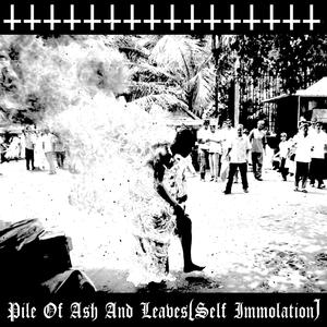 Pile Of Ash And Leaves(Self Immolation)