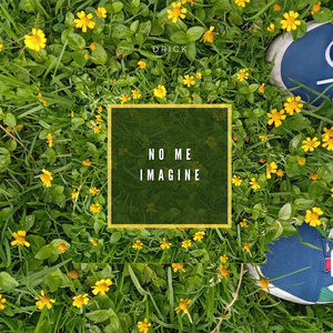 No Me Imagine