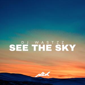 See The Sky