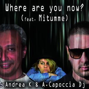 Where Are You Now? (feat. Mitumme) [with A. Capoccia Dj]