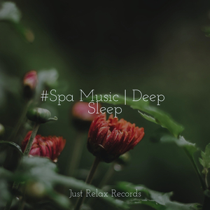 Waltzing in the Mind's Eye