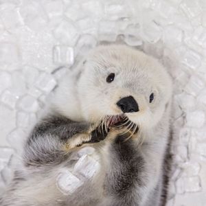 当我们一同暮年