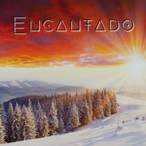 Profundida Desendente