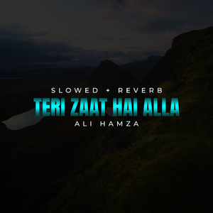 Teri Zaat Hai Alla Lofi