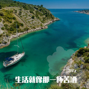 生活就像那一杯苦酒