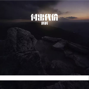 付出代价