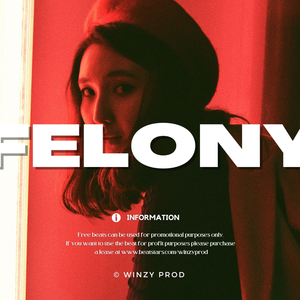 Ayra Starr (Felony Instrumental)