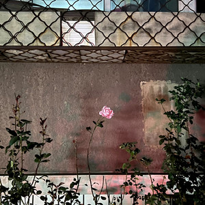 把爱藏进日常生活