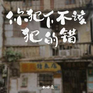 你犯下不该犯的错