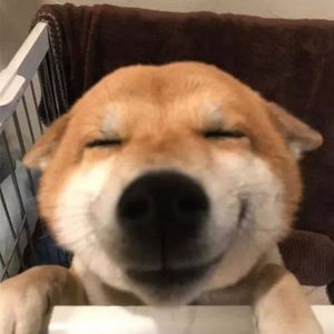 多情种 吉他版.wav