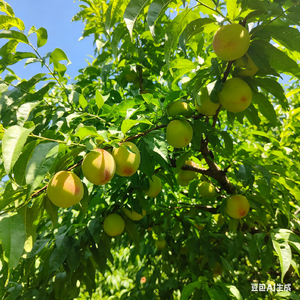 爱到最后只剩痛