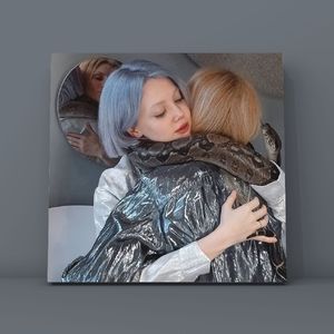 免费 X Drill X Melody X Disco X 非洲