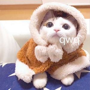 眉间雪（Cover 晴愔）