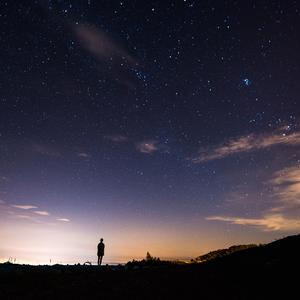 执手共醉梦星河