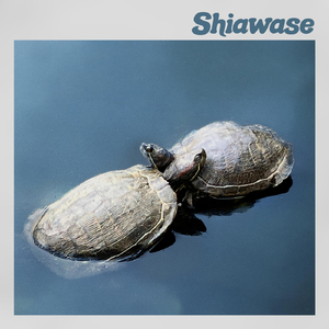 Shiawase