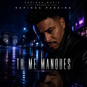 Tu me manques