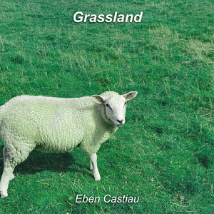 Grassland