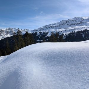 白瓷杯里的深呼吸
