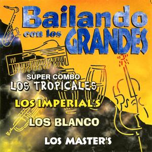 Bailables Venezolanos: Soberana/ El Andino/ Barquisimeto/ Julito/ Quien Fue Que Mato a Consuelo