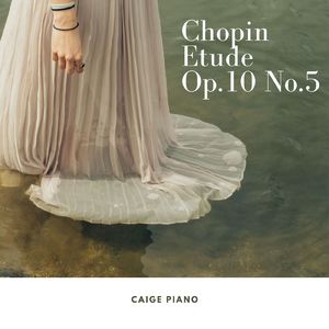 Chopin:Etude Op.10 No.5