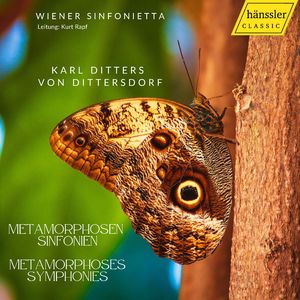 Finale - Prestissimo - Allegretto