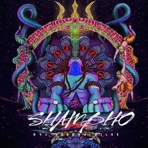 Shambho (Trippy Psychedelic Version )
