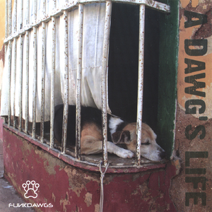 Bbq Roadhouse Blues (live)