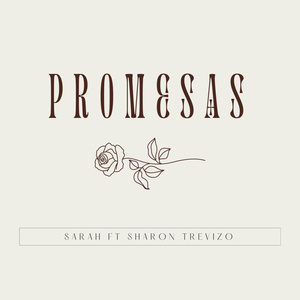 Promesas
