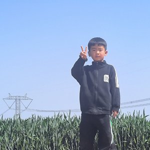 普通冒险家的故事