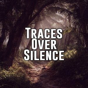 Traces Over Silence