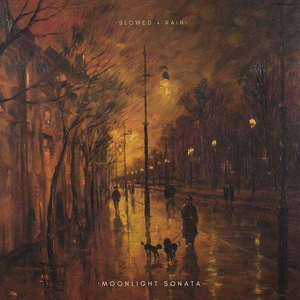 moonlight sonata (slowed + rain)