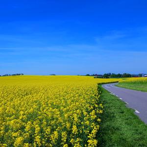 Slow Sexy Blues (feat. Fredrik Tibblin)