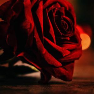 战争究竟是为了什么_