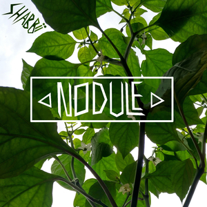 Rumhängn (feat. Püppi)