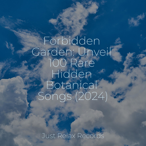 Transcendent Melancholy Overture