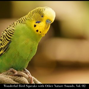 Magnificient Birds at Dawn