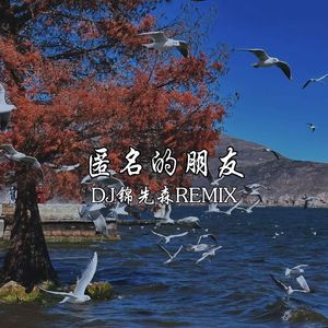 匿名的好友（DJ锦先森 Remix）