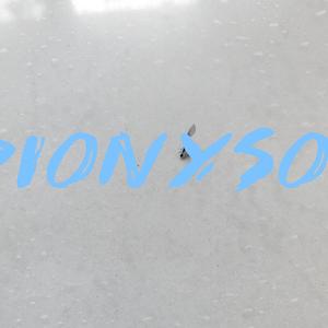 小猫咪的态度一百八十度（inst.）