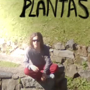 Plantas