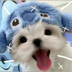 The Smallest Man Who Ever Lived (slowed)