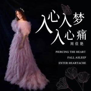 入心入梦入心痛 (DJ默涵版)