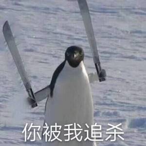 你被我追sha