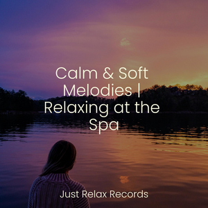 Twilight Reflections in Silence