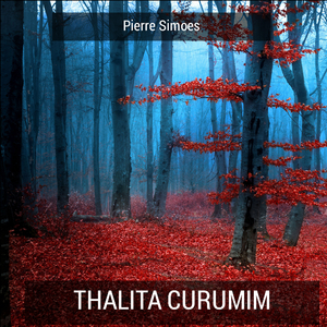 Vovozinha Da Floresta