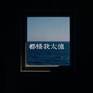 都怪我太傻