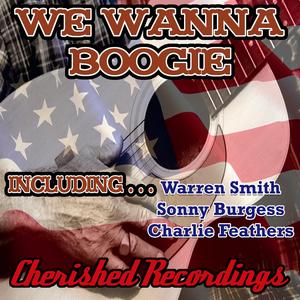 Put Your Cat Clothes On