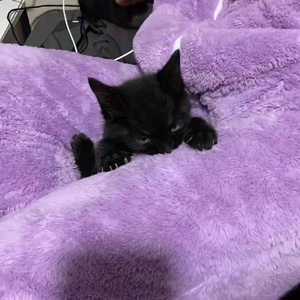 She don't wanna go out