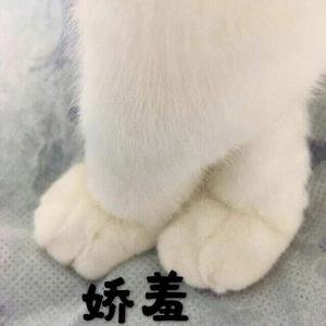 别知己（翻自 海来阿木）