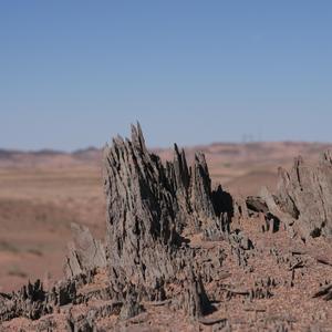 生活让我重新举起酒杯