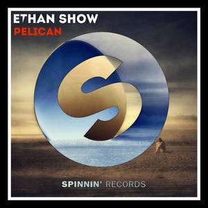 Pelican (Original Mix)